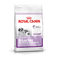 Royal Canin Giant Starter Mother & Baby Dog Food 4kg